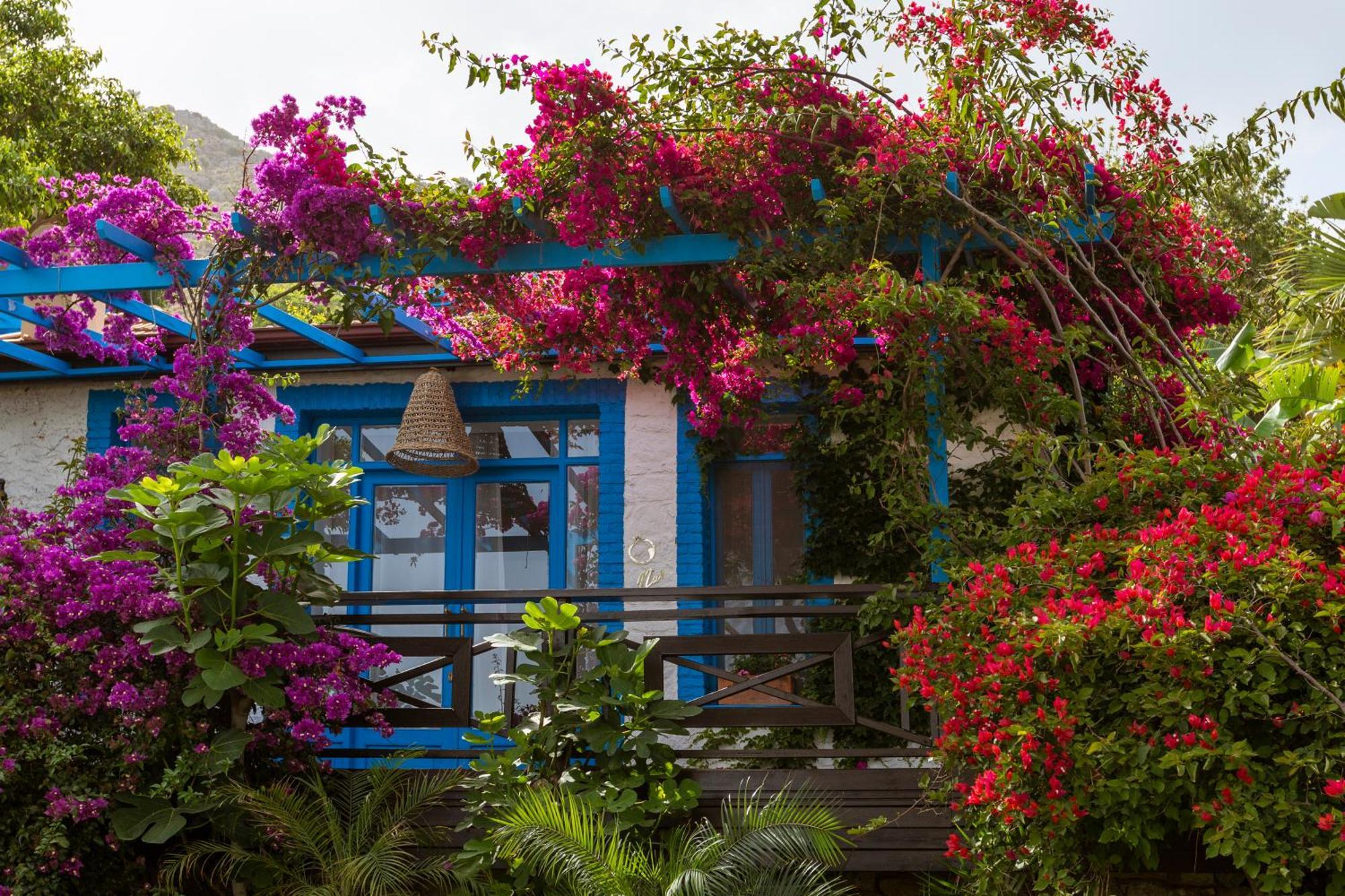 Sabrinas Haus - Adult Only +14 Hotell Marmaris Exteriör bild